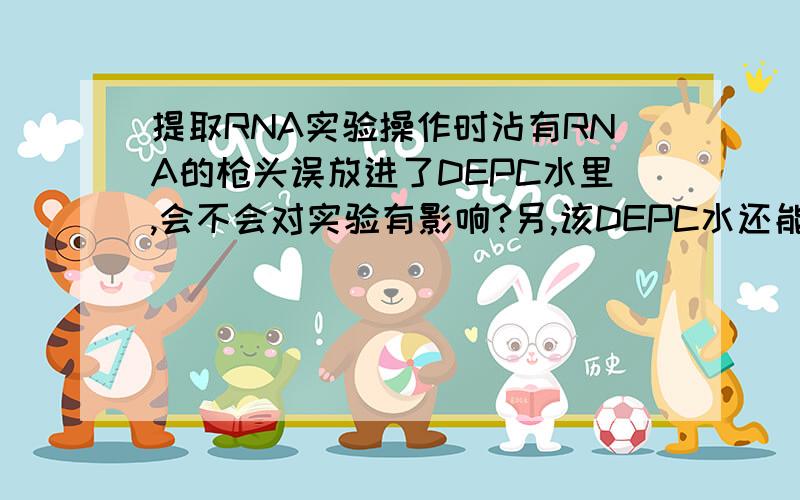 提取RNA实验操作时沾有RNA的枪头误放进了DEPC水里,会不会对实验有影响?另,该DEPC水还能做实验用吗?急会不会影响260/280比值偏低？1.7左右