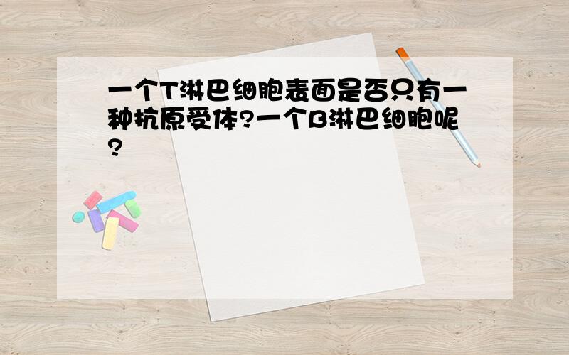 一个T淋巴细胞表面是否只有一种抗原受体?一个B淋巴细胞呢?