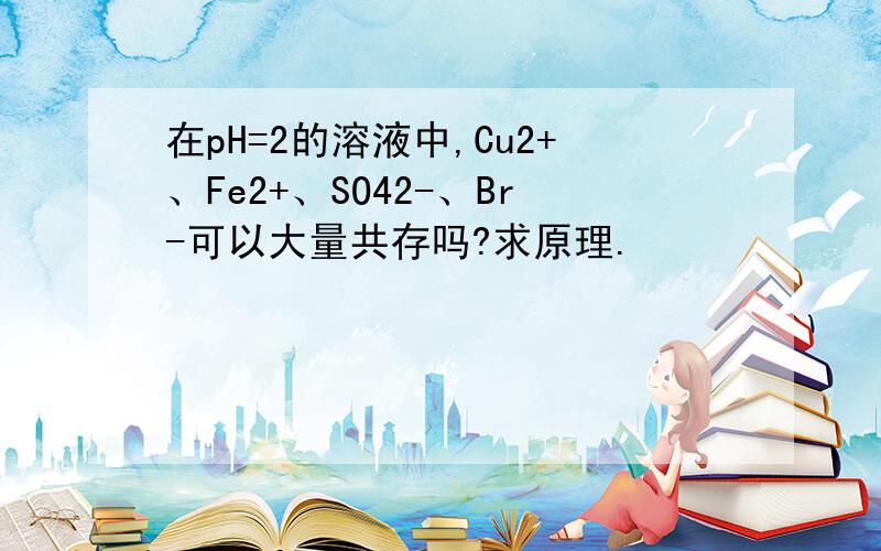 在pH=2的溶液中,Cu2+、Fe2+、SO42-、Br-可以大量共存吗?求原理.