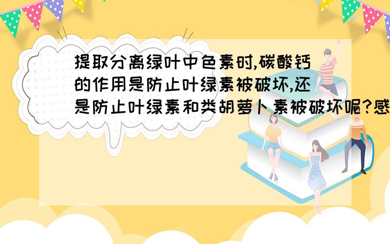 提取分离绿叶中色素时,碳酸钙的作用是防止叶绿素被破坏,还是防止叶绿素和类胡萝卜素被破坏呢?感觉教辅上没有写清楚..