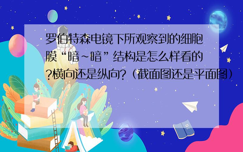 罗伯特森电镜下所观察到的细胞膜“暗～暗”结构是怎么样看的?横向还是纵向?（截面图还是平面图）