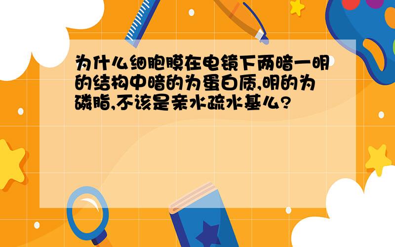 为什么细胞膜在电镜下两暗一明的结构中暗的为蛋白质,明的为磷脂,不该是亲水疏水基么?