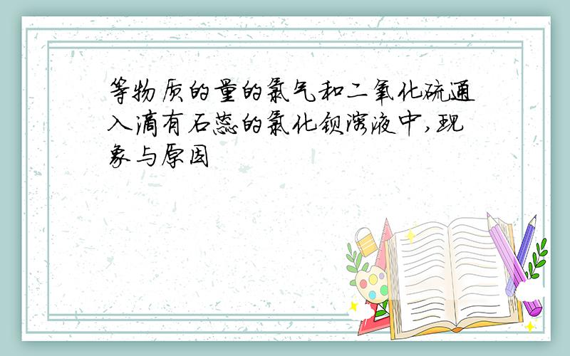 等物质的量的氯气和二氧化硫通入滴有石蕊的氯化钡溶液中,现象与原因