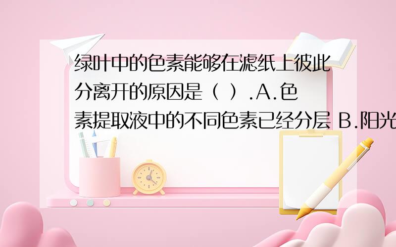 绿叶中的色素能够在滤纸上彼此分离开的原因是（ ）.A.色素提取液中的不同色素已经分层 B.阳光的照射绿叶中的色素能够在滤纸上彼此分离开的原因是（ ）.A.色素提取液中的不同色素已经