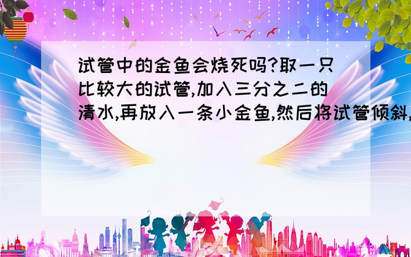 试管中的金鱼会烧死吗?取一只比较大的试管,加入三分之二的清水,再放入一条小金鱼,然后将试管倾斜,用酒精灯对试管的水面进行加热.问：水面刚刚沸腾时,试管中的金鱼会被烧死吗?