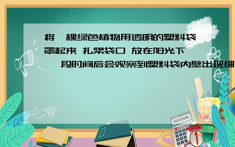 将一棵绿色植物用透明的塑料袋罩起来 扎紧袋口 放在阳光下 一段时间后会观察到塑料袋内壁出现细小的液滴我知道应该是植物蒸腾作用的缘故.但为什么不能是这个答案：“液滴是由泥土中