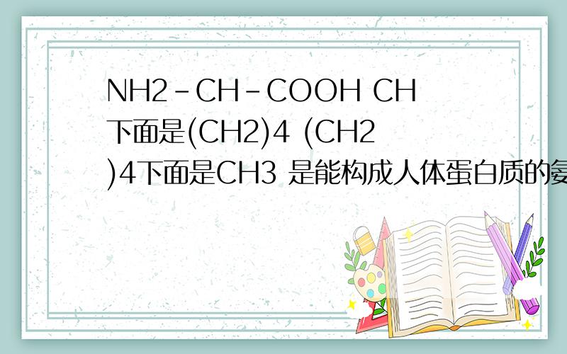 NH2-CH-COOH CH下面是(CH2)4 (CH2)4下面是CH3 是能构成人体蛋白质的氨基酸吗?