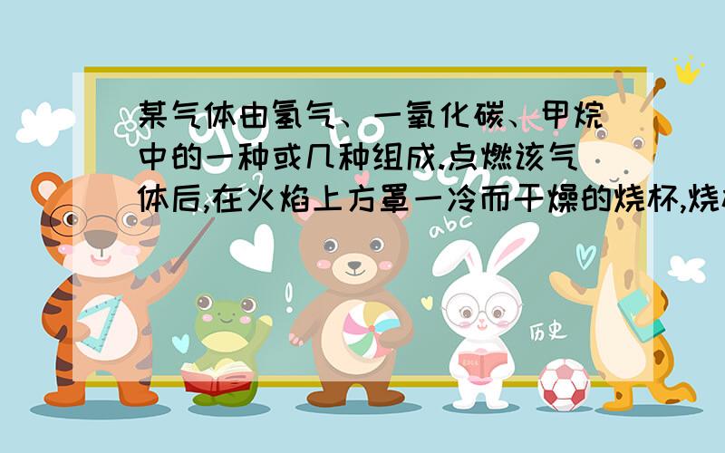 某气体由氢气、一氧化碳、甲烷中的一种或几种组成.点燃该气体后,在火焰上方罩一冷而干燥的烧杯,烧杯内壁出现水雾；把烧杯迅速倒转过来,注入少量澄清石灰水,振荡,石灰水变浑浊.下列对