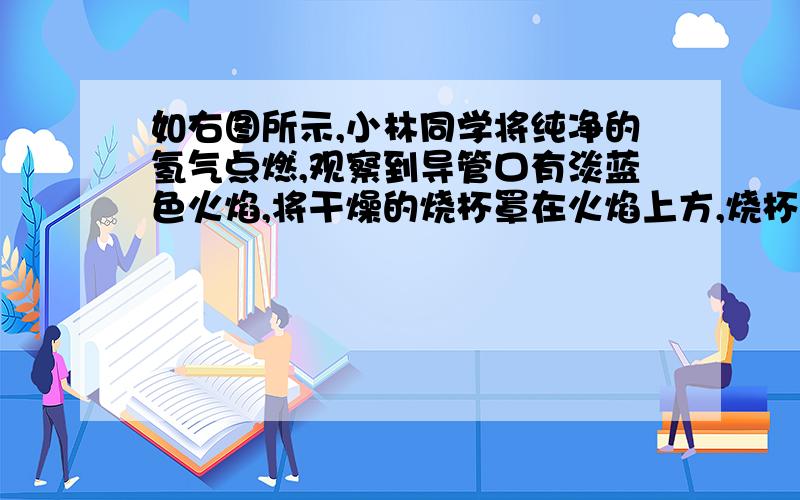 如右图所示,小林同学将纯净的氢气点燃,观察到导管口有淡蓝色火焰,将干燥的烧杯罩在火焰上方,烧杯内壁出现,据此,他发现氢气的一个性质————,该反应的文字表达式为————,属于—