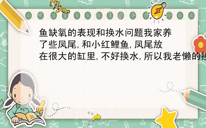 鱼缺氧的表现和换水问题我家养了些凤尾,和小红鲤鱼,凤尾放在很大的缸里,不好换水,所以我老懒的换,那么会不会缺氧,它们缺氧的表现,鲤鱼看样子很皮实也不知道怎样,它们是不是都可以不