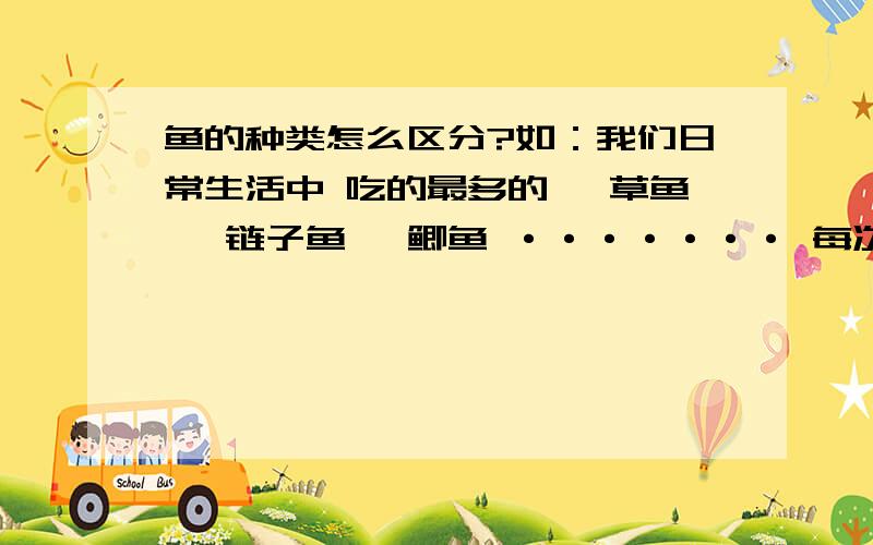 鱼的种类怎么区分?如：我们日常生活中 吃的最多的、 草鱼、 链子鱼、 鲫鱼 ······· 每次父母都 做好了、给我吃、 可我吃的什么鱼都不知道、 怎么区分他们呢?注：别给我扯到鲨鱼啊鲸