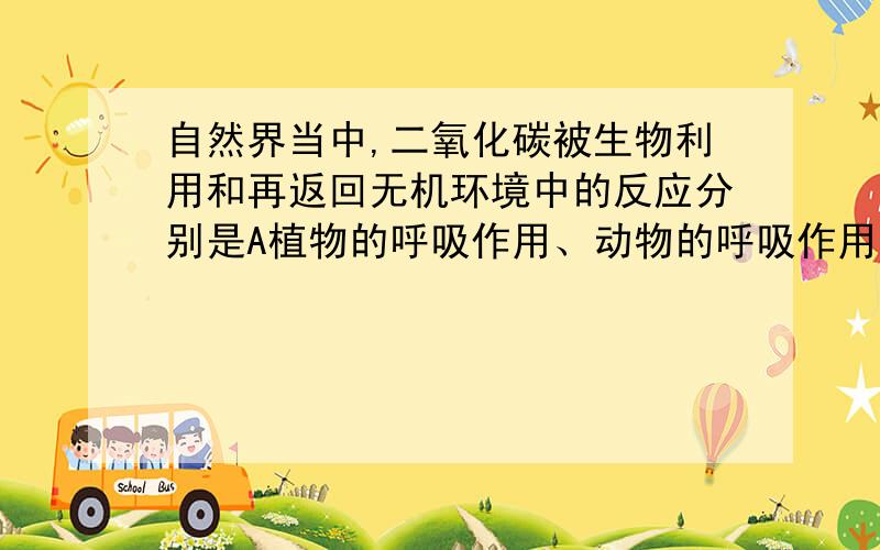 自然界当中,二氧化碳被生物利用和再返回无机环境中的反应分别是A植物的呼吸作用、动物的呼吸作用和微生物的分解作用B植物的光合作用、动物的呼吸作用和分解者微生物的分解作用C动物