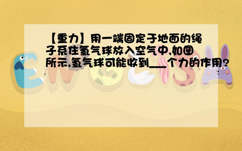 【重力】用一端固定于地面的绳子系住氢气球放入空气中,如图所示,氢气球可能收到___个力的作用?