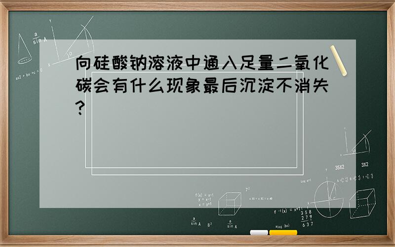 向硅酸钠溶液中通入足量二氧化碳会有什么现象最后沉淀不消失？