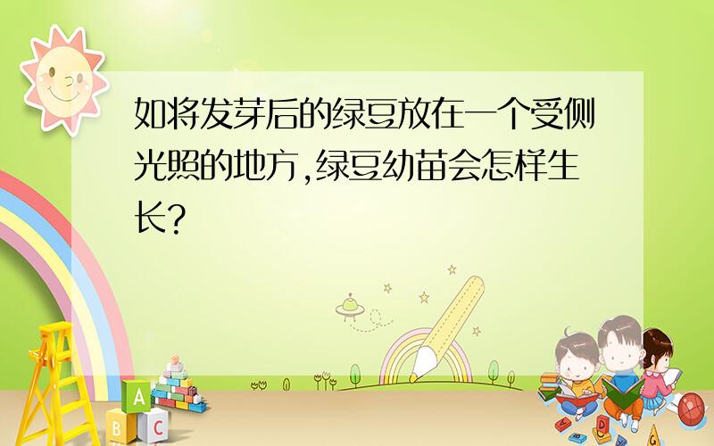 如将发芽后的绿豆放在一个受侧光照的地方,绿豆幼苗会怎样生长?