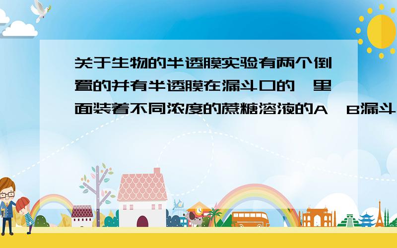 关于生物的半透膜实验有两个倒置的并有半透膜在漏斗口的,里面装着不同浓度的蔗糖溶液的A,B漏斗,同放在一个水槽中,待它们的液面不再上升的时候为什么不能说A,B内的蔗糖溶液浓度相等?为