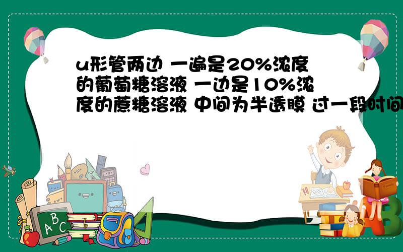 u形管两边 一遍是20%浓度的葡萄糖溶液 一边是10%浓度的蔗糖溶液 中间为半透膜 过一段时间后u型管内现象u形管两边 一遍是20%浓度的葡萄糖溶液 一边是10%浓度的蔗糖溶液 中间为半透膜 过一