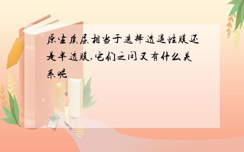 原生质层相当于选择透过性膜还是半透膜,它们之间又有什么关系呢