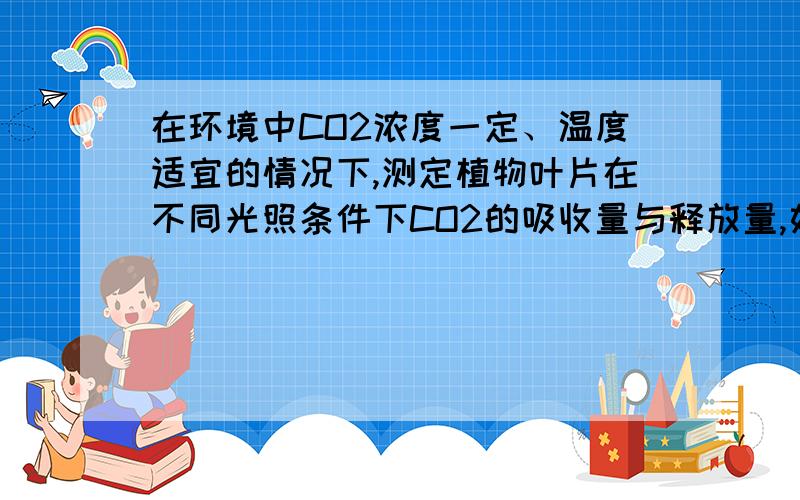 在环境中CO2浓度一定、温度适宜的情况下,测定植物叶片在不同光照条件下CO2的吸收量与释放量,如图