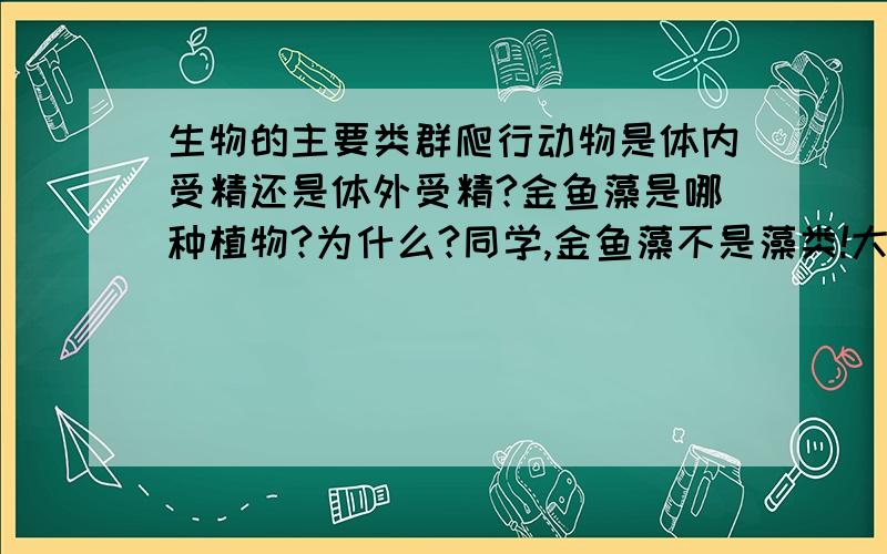 生物的主要类群爬行动物是体内受精还是体外受精?金鱼藻是哪种植物?为什么?同学,金鱼藻不是藻类!大家请讲为什么!