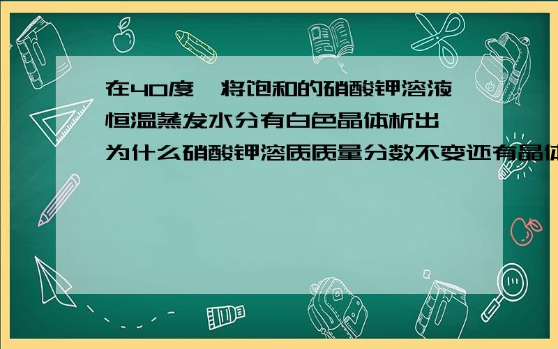 在40度,将饱和的硝酸钾溶液恒温蒸发水分有白色晶体析出 为什么硝酸钾溶质质量分数不变还有晶体析出