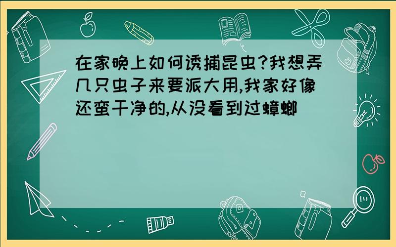 在家晚上如何诱捕昆虫?我想弄几只虫子来要派大用,我家好像还蛮干净的,从没看到过蟑螂