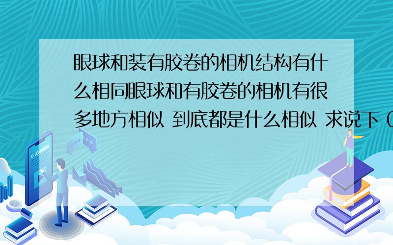 眼球和装有胶卷的相机结构有什么相同眼球和有胶卷的相机有很多地方相似 到底都是什么相似 求说下 0.0.