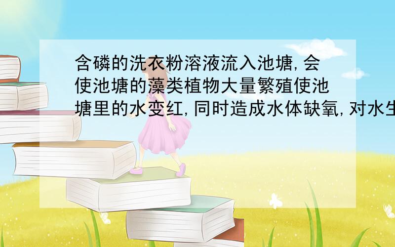 含磷的洗衣粉溶液流入池塘,会使池塘的藻类植物大量繁殖使池塘里的水变红,同时造成水体缺氧,对水生动物接上。。造成危害，这一现象叫“水华”。请你设计实验，证明“水华”现象与进