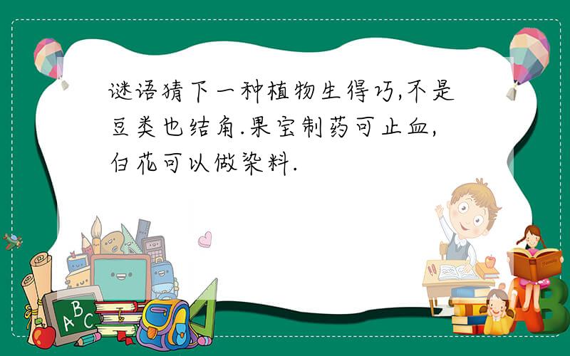 谜语猜下一种植物生得巧,不是豆类也结角.果宝制药可止血,白花可以做染料.