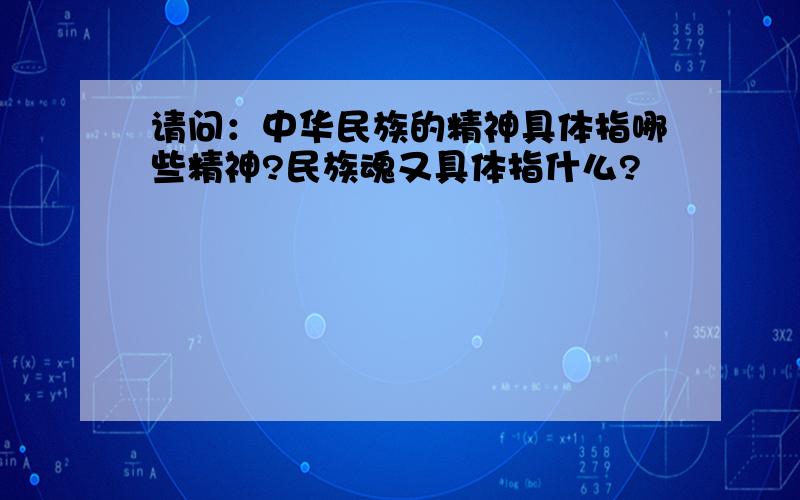 请问：中华民族的精神具体指哪些精神?民族魂又具体指什么?