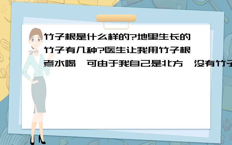 竹子根是什么样的?地里生长的竹子有几种?医生让我用竹子根煮水喝,可由于我自己是北方,没有竹子.问了南方的朋友,他说有好几种竹子,不知道我要哪种.我需要那种粗干的,长的很高的那种.不