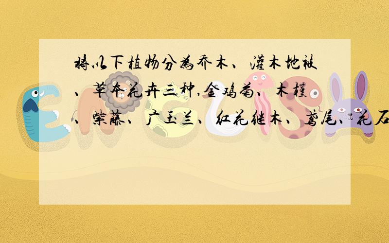 将以下植物分为乔木、灌木地被、草本花卉三种,金鸡菊、木槿、紫藤、广玉兰、红花继木、鸢尾、花石榴、羽衣甘蓝、大花萱草、细叶麦冬、凤尾兰、月季、慈孝竹、刚竹、夹竹桃、金银木