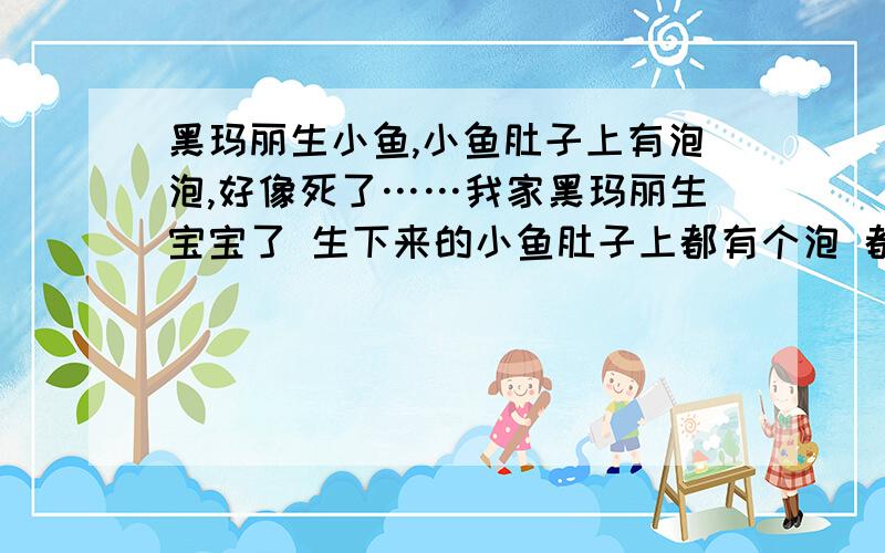 黑玛丽生小鱼,小鱼肚子上有泡泡,好像死了……我家黑玛丽生宝宝了 生下来的小鱼肚子上都有个泡 都躺在水底下 不动.小鱼还能活不了 躺一会能醒么?很多都有被大鱼咬过的痕迹.生下来不到