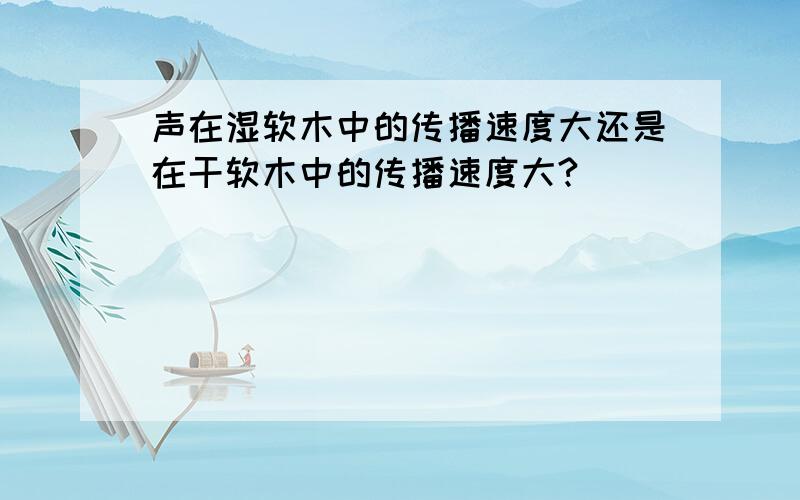 声在湿软木中的传播速度大还是在干软木中的传播速度大?