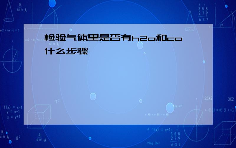 检验气体里是否有h2o和co什么步骤