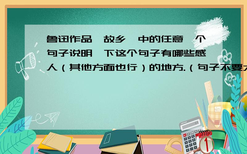 鲁迅作品《故乡》中的任意一个句子说明一下这个句子有哪些感人（其他方面也行）的地方.（句子不要太长就行）