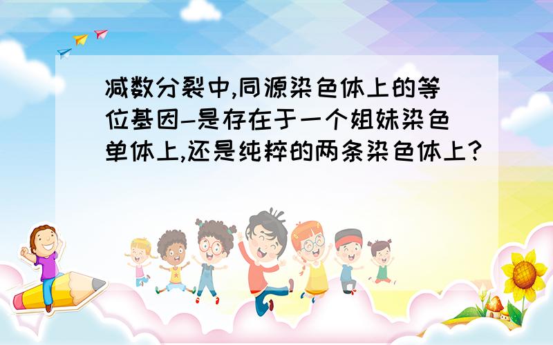 减数分裂中,同源染色体上的等位基因-是存在于一个姐妹染色单体上,还是纯粹的两条染色体上?