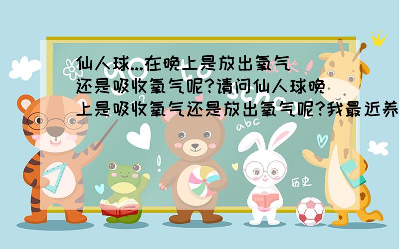 仙人球...在晚上是放出氧气还是吸收氧气呢?请问仙人球晚上是吸收氧气还是放出氧气呢?我最近养了一盆...好喜欢丫!o(∩_∩)o...