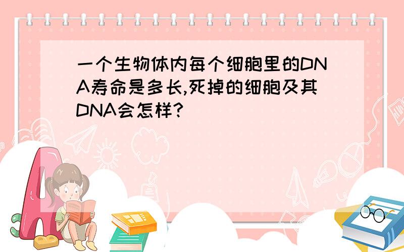 一个生物体内每个细胞里的DNA寿命是多长,死掉的细胞及其DNA会怎样?