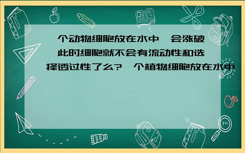 一个动物细胞放在水中,会涨破,此时细胞就不会有流动性和选择透过性了么?一个植物细胞放在水中,会涨破,但是有细胞壁,此时细胞也不会有流动性和选择透过性了么?