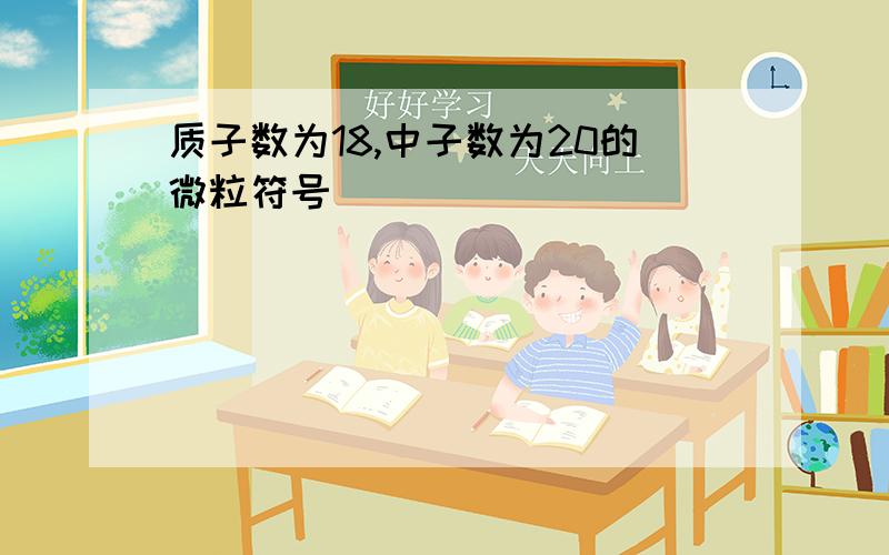 质子数为18,中子数为20的微粒符号