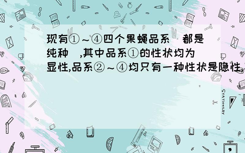 现有①～④四个果蝇品系（都是纯种）,其中品系①的性状均为显性,品系②～④均只有一种性状是隐性,其他性状均为显性.这四个品系的隐性性状及控制该隐性性状的基因所在的染色体如下表