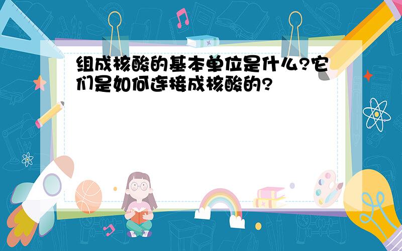 组成核酸的基本单位是什么?它们是如何连接成核酸的?