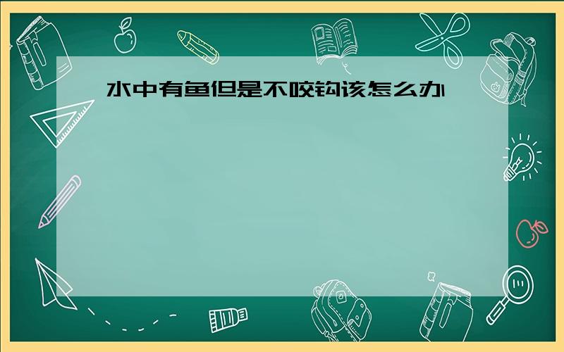 水中有鱼但是不咬钩该怎么办