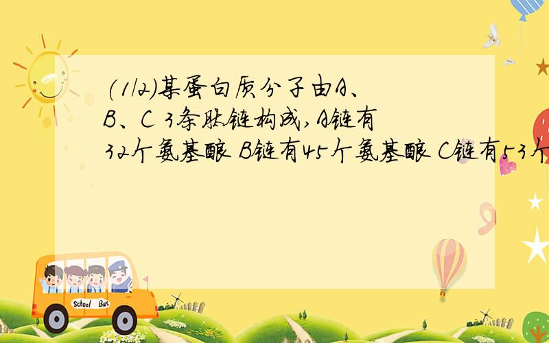 (1/2)某蛋白质分子由A、B、C 3条肽链构成,A链有32个氨基酸 B链有45个氨基酸 C链有53个氨基酸求这个蛋...(1/2)某蛋白质分子由A、B、C 3条肽链构成,A链有32个氨基酸 B链有45个氨基酸 C链有53个氨基