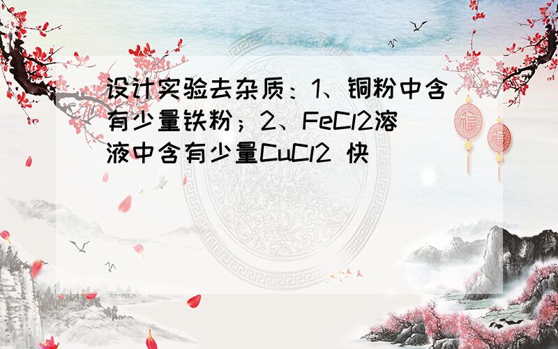 设计实验去杂质：1、铜粉中含有少量铁粉；2、FeCl2溶液中含有少量CuCl2 快