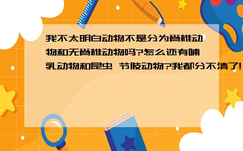 我不太明白动物不是分为脊椎动物和无脊椎动物吗?怎么还有哺乳动物和昆虫 节肢动物?我都分不清了!