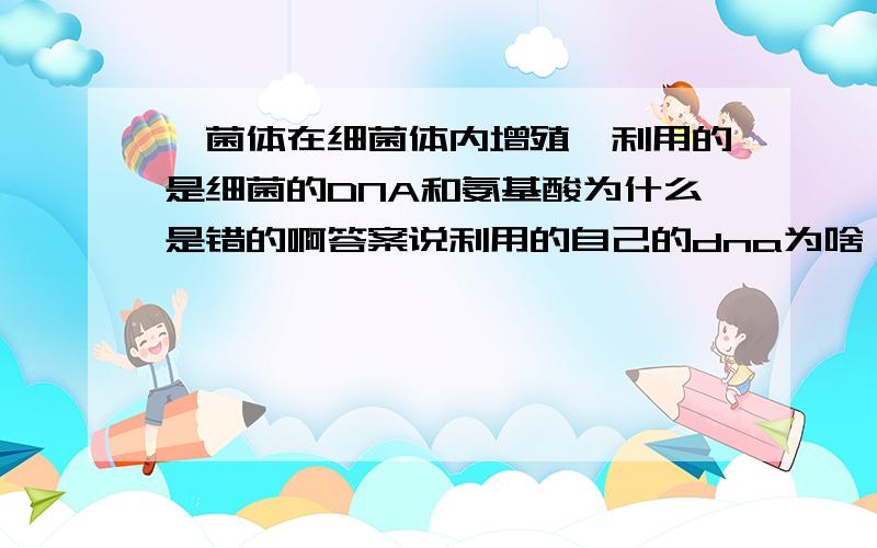 噬菌体在细菌体内增殖,利用的是细菌的DNA和氨基酸为什么是错的啊答案说利用的自己的dna为啥 它不是利用细菌的核苷酸进行dna复制么