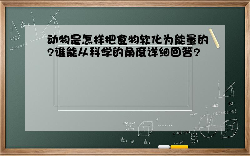 动物是怎样把食物软化为能量的?谁能从科学的角度详细回答?