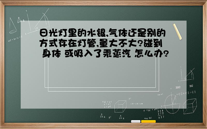 日光灯里的水银,气体还是别的方式存在灯管,量大不大?碰到 身体 或吸入了汞蒸汽 怎么办?